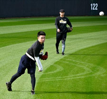 　合同自主練習でキャッチボールする阪神・石井（手前）＝沖縄県宜野座村