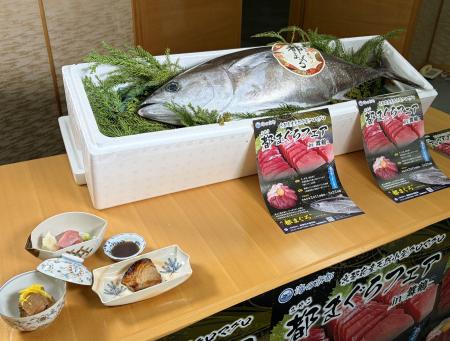 京都府がブランド化する「都まぐろ」＝京都市上京区