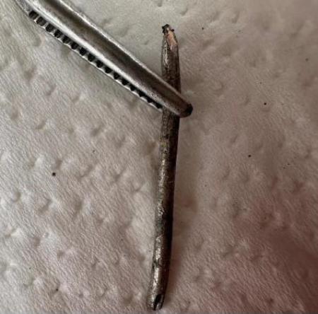 一般ごみに交ざっていたセシウム針とみられるもの（大分県竹田市提供）