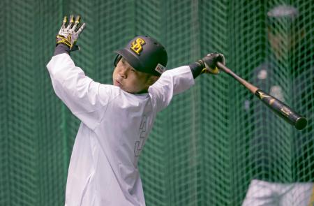 打撃練習するソフトバンク・近藤＝宮崎