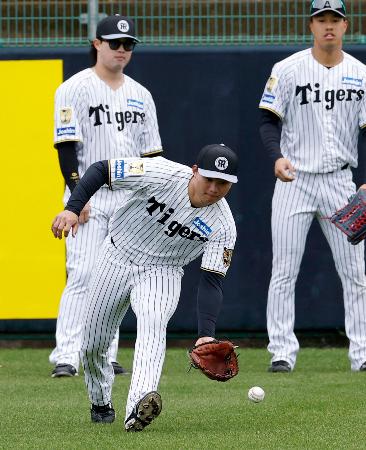 守備練習する阪神・森下（手前）＝宜野座