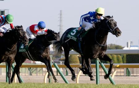 第６０回共同通信杯を制したリアライズシリウス（右）＝東京競馬場