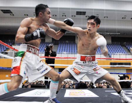 ＩＢＦスーパーバンタム級世界王座挑戦者決定戦でブライアン・メルカド・バスケス（左）を破った西田凌佑＝ＨＯＳ住吉ＳＣ