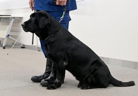 警察犬を退官した「ブラックシャドー号」＝２０日午前、東京都東大和市