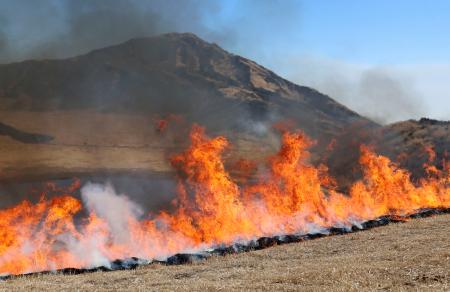 熊本県・阿蘇山の草千里一帯で行われた野焼き＝２１日午後