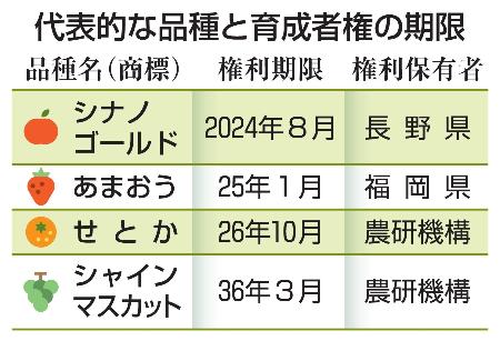 代表的な品種と育成者権の期限