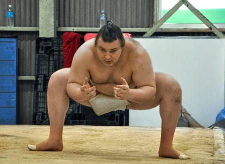 大阪入り後の初稽古を行う大関安青錦＝大阪府松原市の安治川部屋