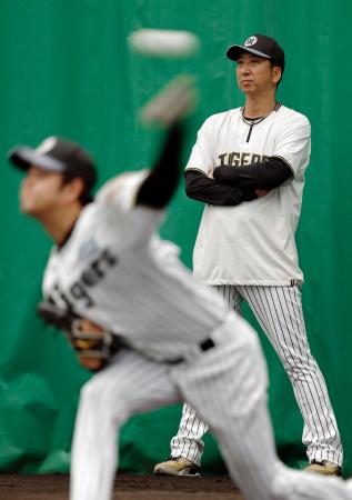 藤川阪神、沖縄キャンプを終了｜埼玉新聞｜埼玉の最新ニュース