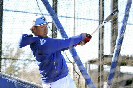 打撃練習するブルージェイズ・岡本＝２４日、ダンイーデン