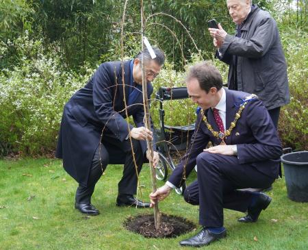 ４日、ロンドン中心部の日本庭園「福島庭園」で、桜の木を植える鈴木浩駐英大使（左）ら（共同）