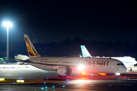 成田空港に到着した、政府手配の民間チャーター機＝８日午後７時５０分