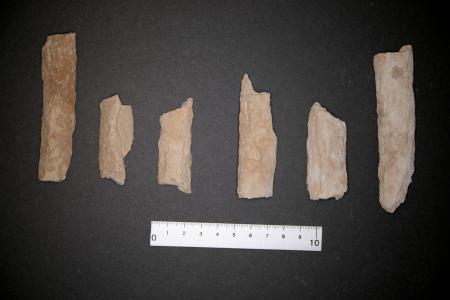 古代文明「ディルムン」の古墳調査で見つかった人骨(アアリ古墳群西考古学プロジェクト提供)