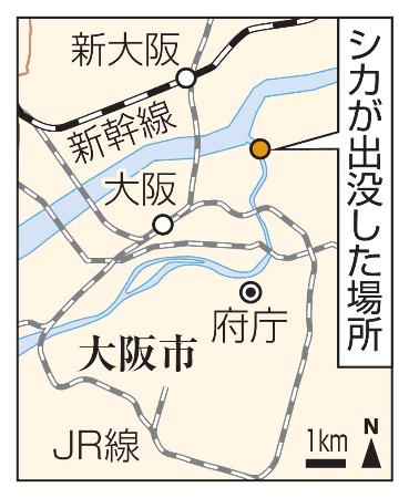 大阪市都島区・シカが出没した場所、JR大阪駅