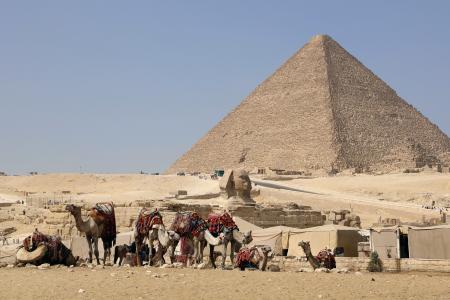 エジプトの首都カイロ近郊ギザのピラミッドとラクダ=16日(共同)
