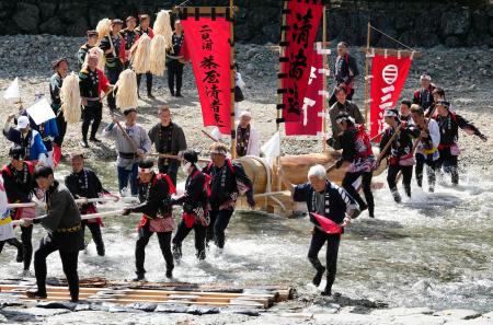 式年遷宮の「お木曳初式」で、御用材を五十鈴川から引き揚げる市民ら＝１２日午後、三重県伊勢市の伊勢神宮内宮