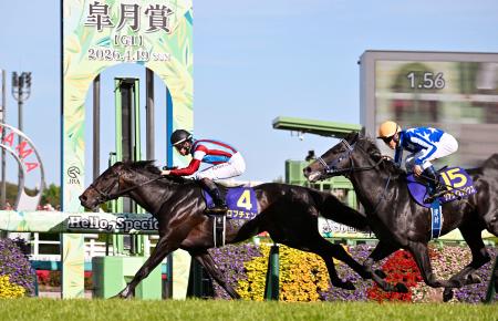 　第８６回皐月賞を制した松山弘平騎乗のロブチェン＝中山競馬場