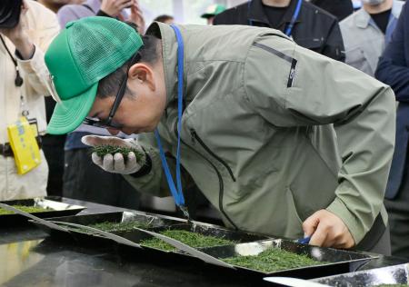 静岡茶市場で開かれた「新茶初取引」で、茶の香りを確かめる関係者＝２０日午前、静岡市