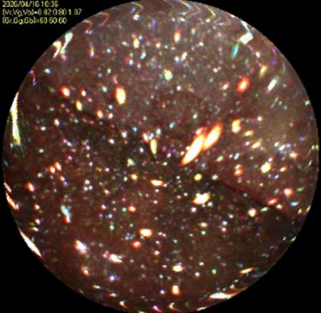 　東京電力福島第１原発２号機の原子炉圧力容器に挿入したファイバースコープで撮影した炉心を囲う隔壁（シュラウド）の外壁＝１６日（東電提供）