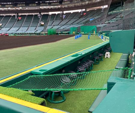 　甲子園球場のカメラマン席に設置された、選手の転落防止用ネット＝２４日