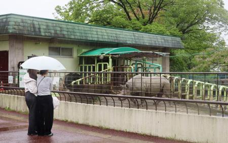 熊本市動植物園のクロサイ舎＝２６日午後