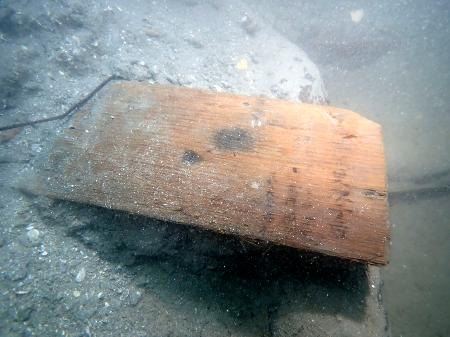 元寇の船と確認された沈没船の船底で発見された木板＝２０２４年１０月、長崎県松浦市の鷹島沖（松浦市教育委員会提供）