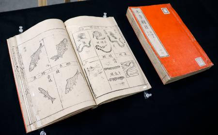 京都府立植物園が所蔵している中国・明代の古文書「本草綱目」の一部＝８日、京都府庁