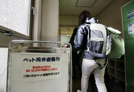　ペット同伴避難所の体育館＝２０２２年、福島市