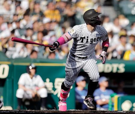 ６回阪神１死、佐藤が左中間に本塁打を放つ＝甲子園