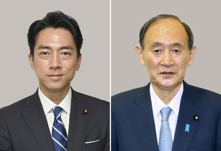 小泉進次郎氏（左）と菅義偉氏