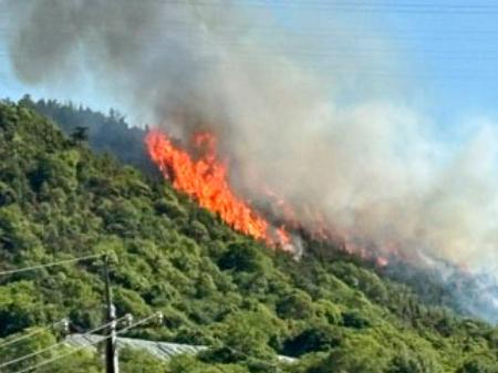 広島県福山市の山林火災＝１７日午後（近隣住民提供）