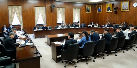 国会で開かれた参院内閣委＝１９日午前