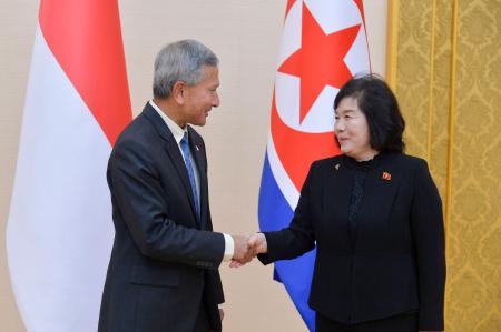握手するシンガポールのバラクリシュナン外相（左）と北朝鮮の崔善姫外相＝２６日、平壌（共同）