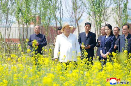 北朝鮮・新義州で開花したばかりの菜の花畑を視察する金正恩朝鮮労働党総書記（手前左）と娘（同右）＝５月３１日（朝鮮通信＝共同）