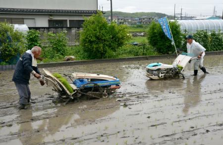 大阪府富田林市で行われた「奇跡の復興米」の田植え＝２日午前