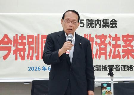 空襲連が開いた集会で発言する自民党の平沢勝栄衆院議員＝５日午後、国会