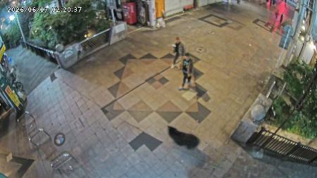 宇都宮市内の商店街を走り抜けるクマ=7日午前2時20分ごろ(宇都宮オリオン通り商店街振興組合提供)