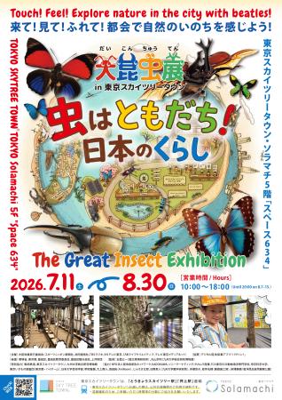 　「大昆虫展ｉｎ東京スカイツリータウン」のチラシ