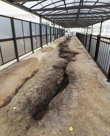 熊本地震の本震で東海大農学部キャンパス内にできた断層＝２０２０年、熊本県南阿蘇村