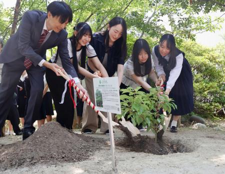 被爆クスノキの苗木を植樹する人たち＝１３日午前、名古屋市
