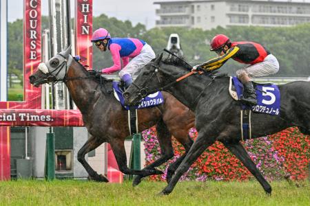 第６７回宝塚記念で２連覇を達成したメイショウタバル。右は２着のクロワデュノール＝阪神競馬場