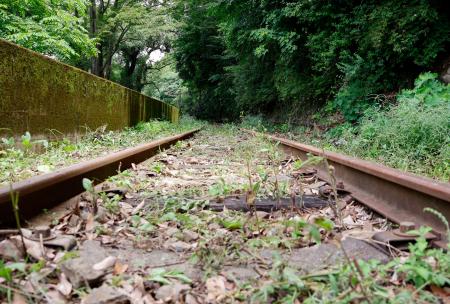 運休中の大井川鉄道大井川本線の線路＝１６日午前、静岡県川根本町