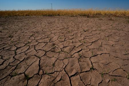 米カンザス州の畑で、干ばつの影響を受けた小麦と干上がった地面＝５月１６日（ＡＰ＝共同）