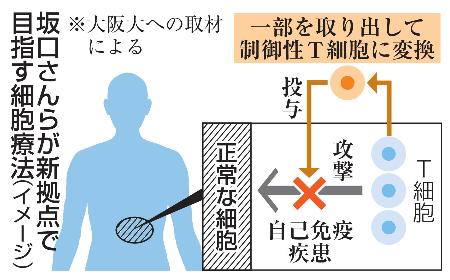 坂口さんらが新拠点で目指す細胞療法(イメージ)