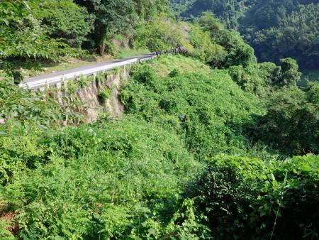 2人の遺体が見つかった現場付近=18日午前、奈良市