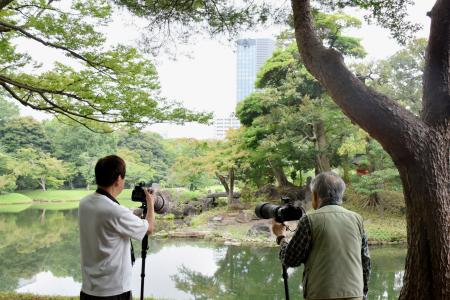 　カメラを構える野鳥愛好家たち＝東京都文京区