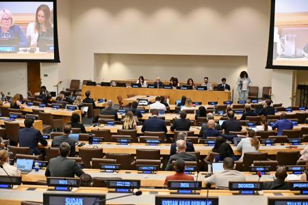 　２４日、ニューヨークの国連本部で開かれたＩＣＣ締約国会議の特別会合（共同）