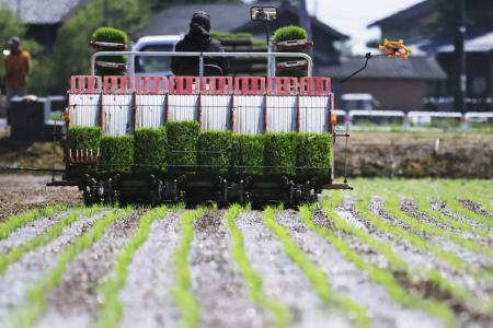 田植えをする農家＝５月、新潟県三条市