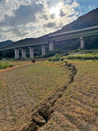 畑から南九州自動車道まで続く、地表に現れた断層＝７月２９日、熊本県八代市（熊本大鳥井真之特任准教授提供）