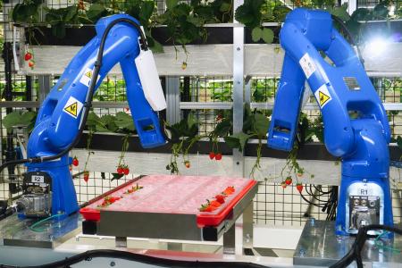 イチゴ収穫用のロボットアームが動く栽培室=5日、東京都羽村市