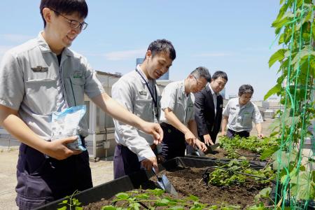 ホップの手入れをするJR東日本東京総合車両ベースの社員ら=5月、東京都品川区